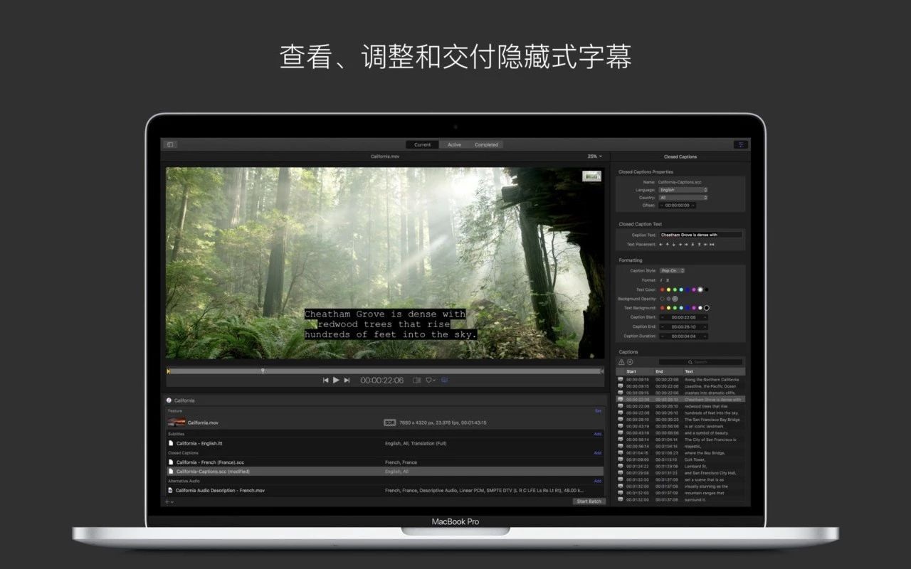 【软件】Mac苹果视频压缩编码软件Apple Compressor 4.4.3中英文版